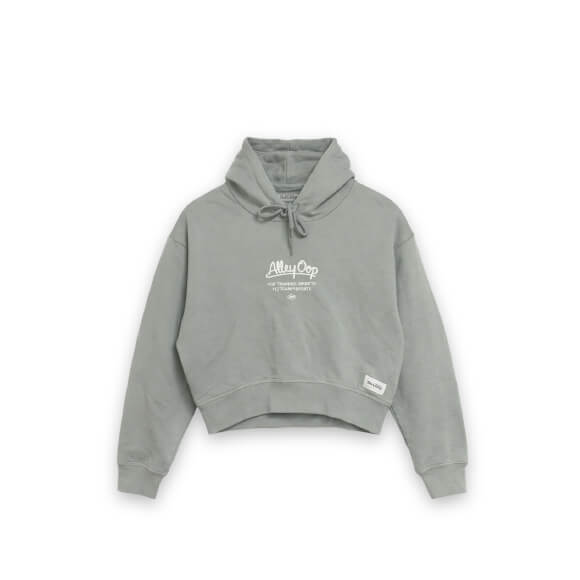 Pop Training Crop Hoodie